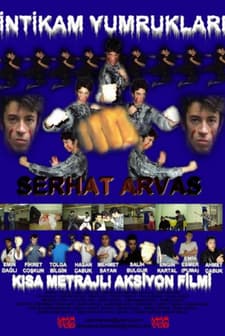 Intikam Yumrukları (2004) afişi