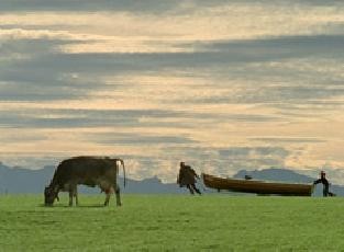 Tohuwabohu fotoğrafı