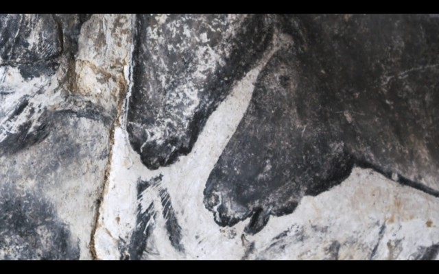 Cave Of Forgotten Dreams fotoğrafı