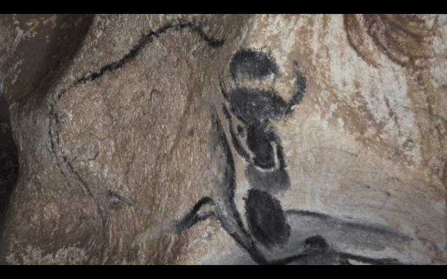 Cave Of Forgotten Dreams fotoğrafı