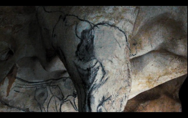 Cave Of Forgotten Dreams Fotoğrafı