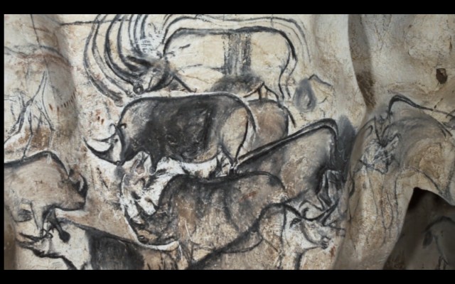 Cave Of Forgotten Dreams Fotoğrafı