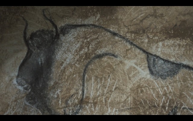 Cave Of Forgotten Dreams Fotoğrafı