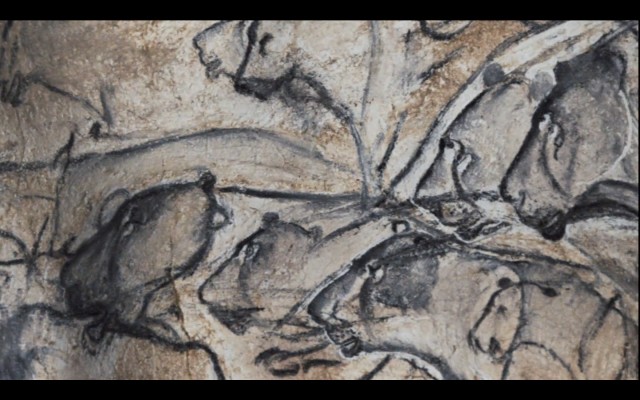 Cave Of Forgotten Dreams Fotoğrafı