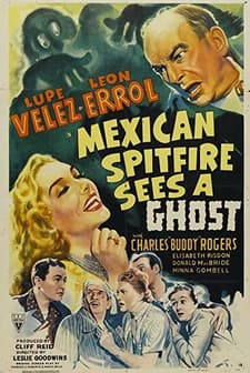 Mexican Spitfire Sees A Ghost (1942) afişi