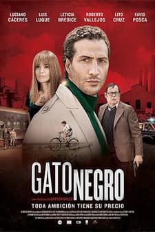 Gato negro (2014) afişi