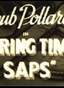 Springtime Saps (1929) afişi