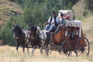 Kurtlarla Dans Fotoğrafı