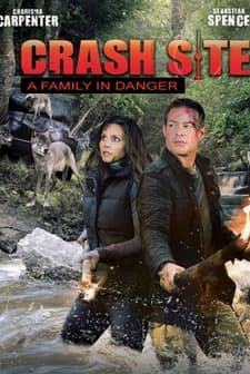 Crash Site (2011) afişi