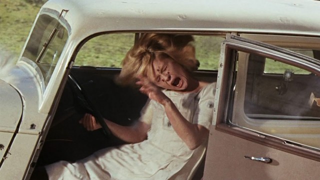 Bonnie ve Clyde Fotoğrafı