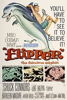 Flipper (1963) afişi
