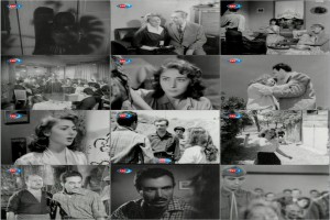 Ana Hasreti fotoğrafı