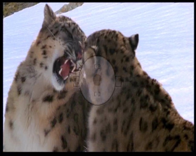 Dikey Limit Fotoğrafı