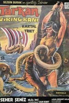 Tarkan Viking Kanı (1971) afişi