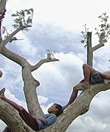 Balikbayan Box (2007) afişi