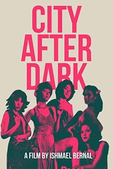 City After Dark (1980) afişi