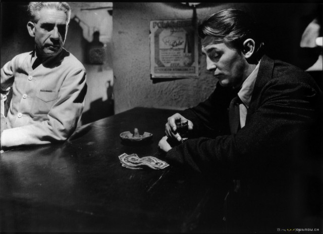 Darağacımı Yükseğe Kur Fotoğrafı