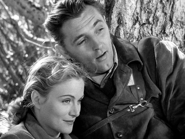 Darağacımı Yükseğe Kur fotoğrafı