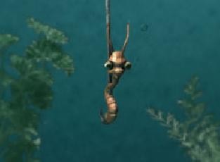 No Fish (2006) afişi