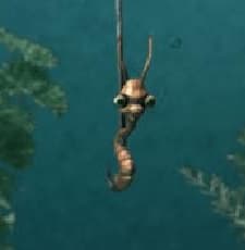 No Fish (2006) afişi