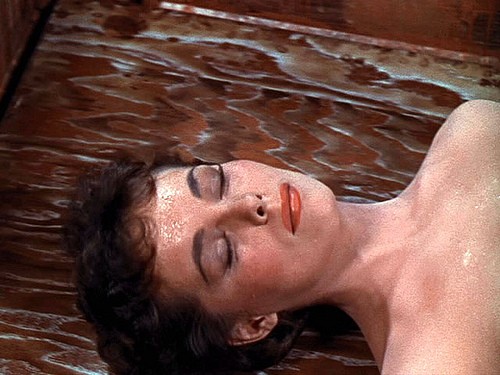 Mumya Evi Fotoğrafı