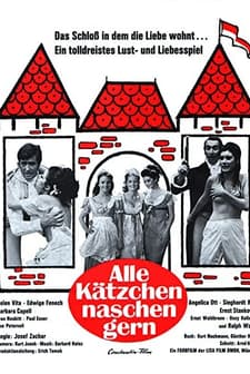 Alle Kätzchen Naschen Gern (1969) afişi