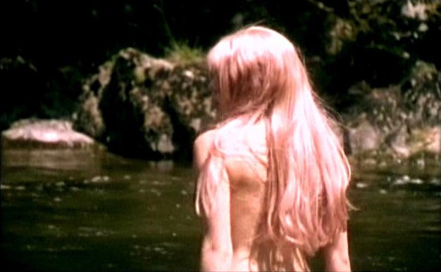 Pervirella Fotoğrafı