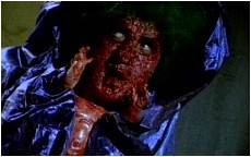 Pervirella fotoğrafı