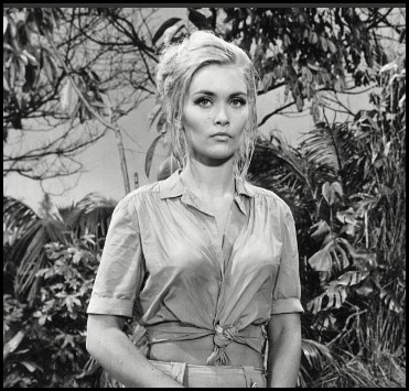 Codename (1970) afişi