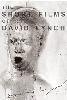 The Short Films Of David Lynch (2002) afişi