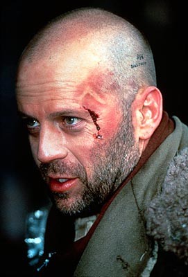 12 Maymun Fotoğrafı