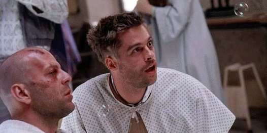 12 Maymun Fotoğrafı