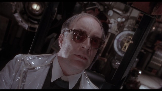 12 Maymun fotoğrafı