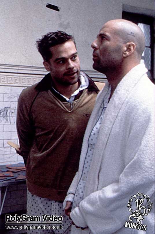 12 Maymun fotoğrafı