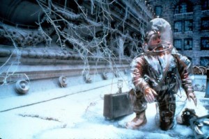 12 Maymun Fotoğrafı