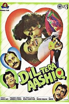 Dil Tera Aashiq (1993) afişi