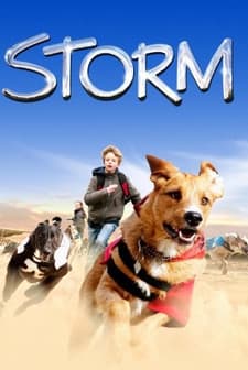 Fırtına Köpek (2009) afişi