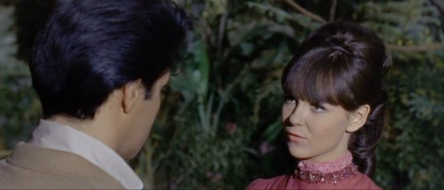 Clambake Fotoğrafı