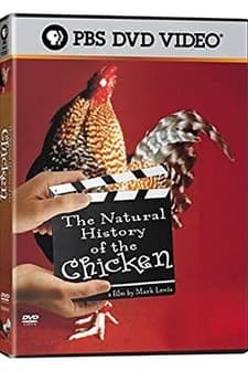 The Natural History Of The Chicken (2000) afişi