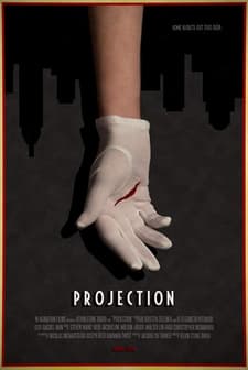 Projection (2013) afişi