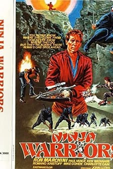 Ninja Warriors (1985) afişi