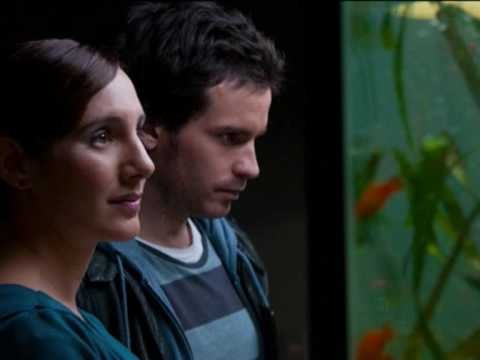 Balıkların Yaşamı fotoğrafı