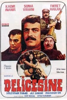 Delicesine (1976) afişi