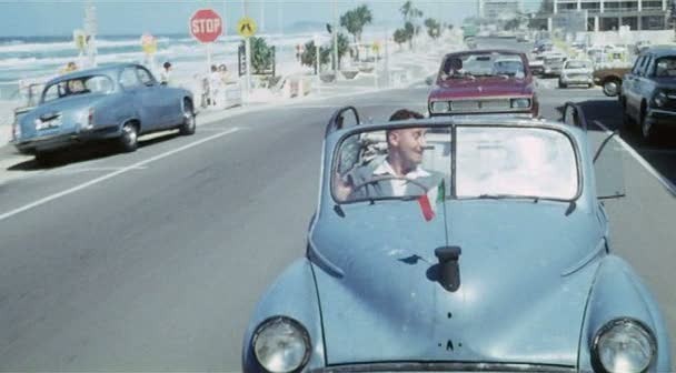 Bello, Onesto, Emigrato Australia Sposerebbe Compaesana Illibata Fotoğrafı