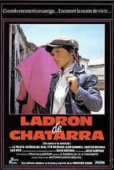 Ladrón De Chatarra (1987) afişi
