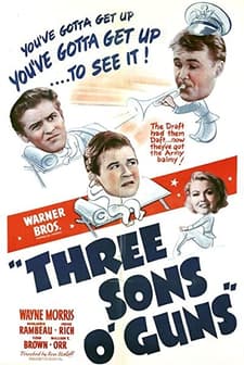 Three Sons O' Guns (1941) afişi