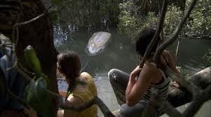 Black Water Fotoğrafı