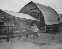 Tomboy And The Champ fotoğrafı