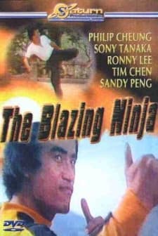 The Blazing Ninja (1973) afişi