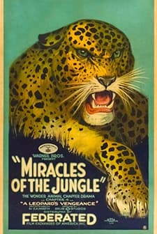 Miracles Of The Jungle (1921) afişi